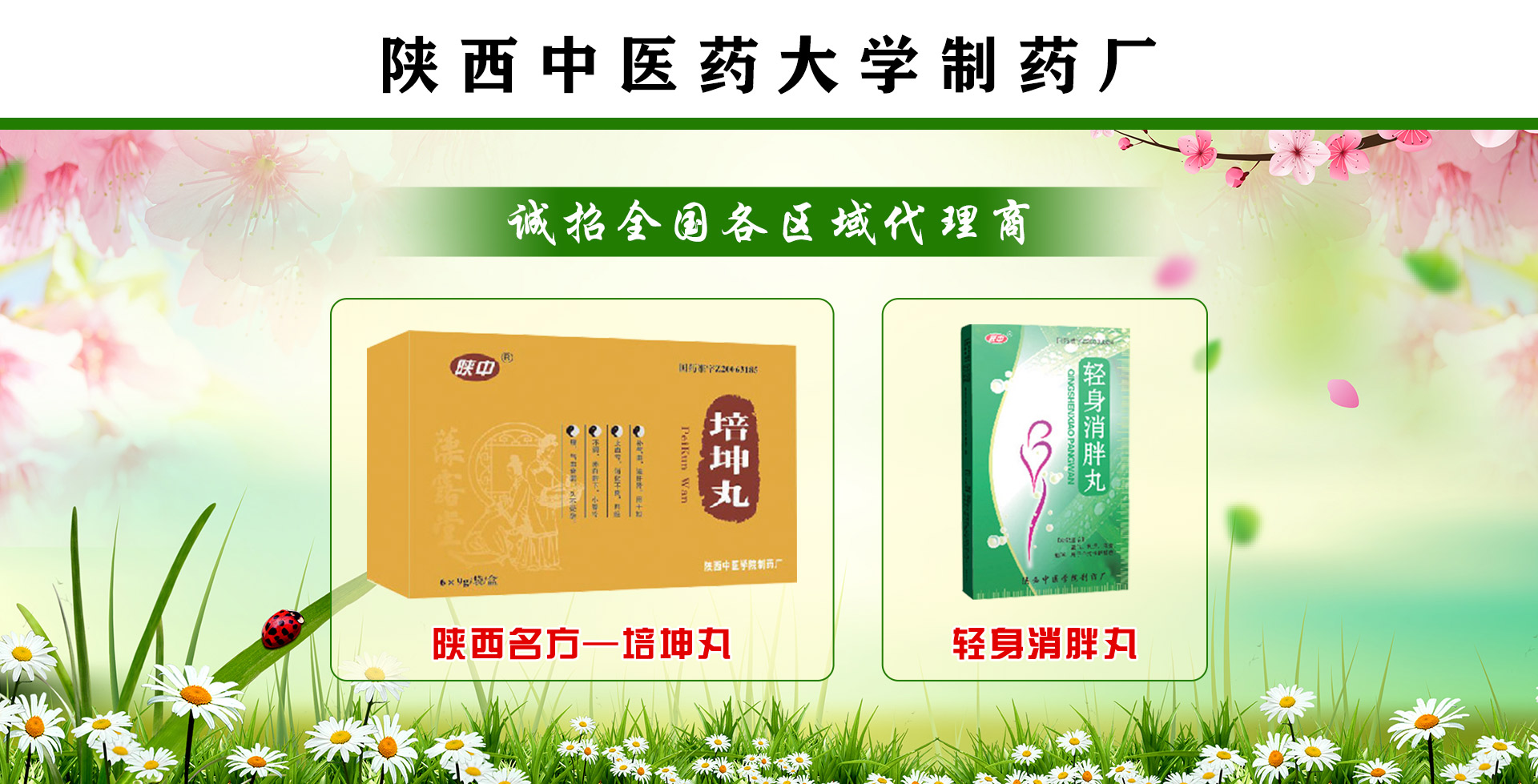 ������t(y��)ˎ��W(xu��)��ˎ�S