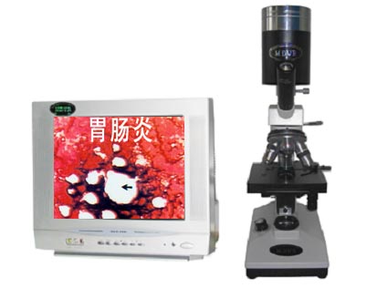 �������z�y(c��)�x