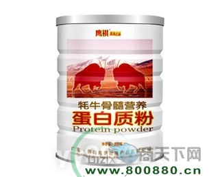 ��ţ����I(y��ng)�B(y��ng)-�����|(zh��)��