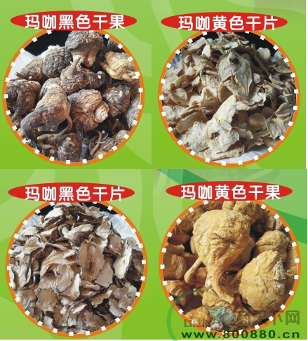 ����-����Ʒ�|(zh��)