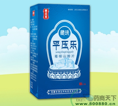 ����ƽ����