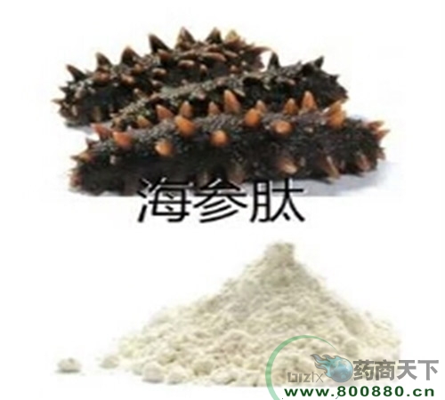 ������ԭ��