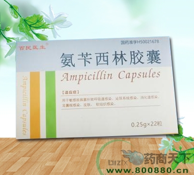 ���S�����z��