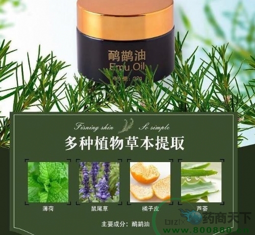 �����������N�ƴ��ӹ�