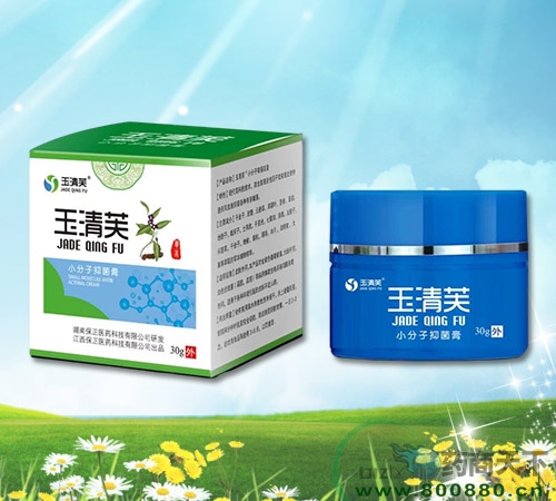 �V���ϱ�ͨˎ�I(y��)���޹�˾-����ܽС�����־���