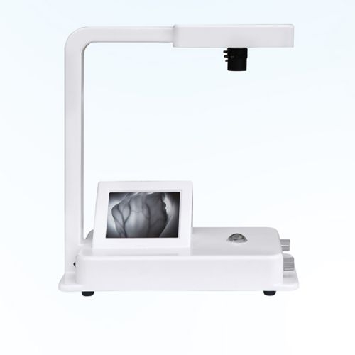 ʩ�˵� Ѫ���@��x