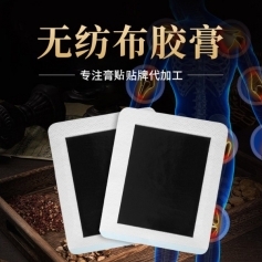 ɽ�|ʢ�PԴˎ�I(y��)���޹�˾-�o������ˎ�N�����N�i׵�Noem�N�ƶ��ƴ��ӹ�