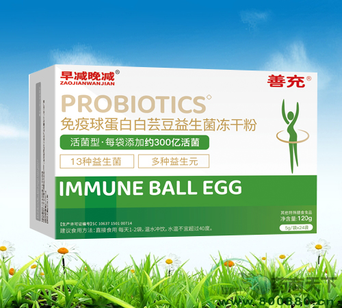 ��p��p �����򵰰װ��|�����������ɷ�