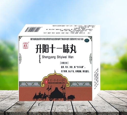 ���ʮһζ��